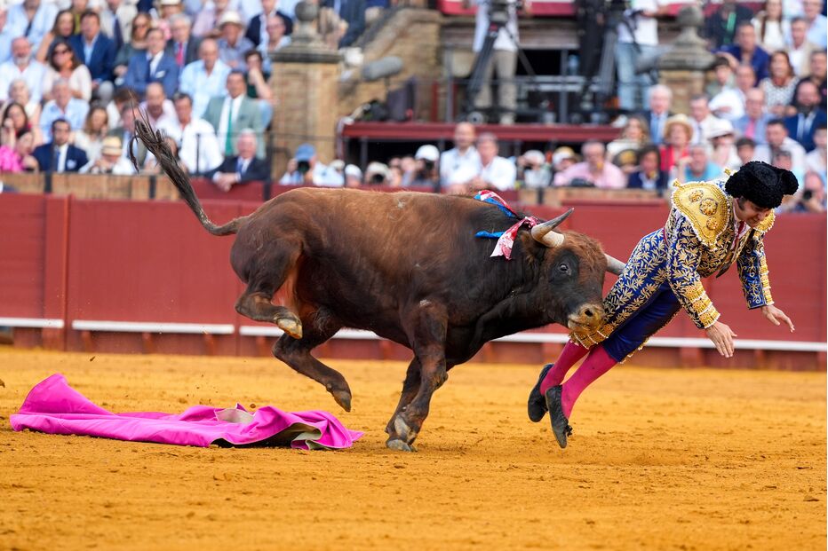 Morante de La Puebla sofre cornada grave numa tourada em Sevilha