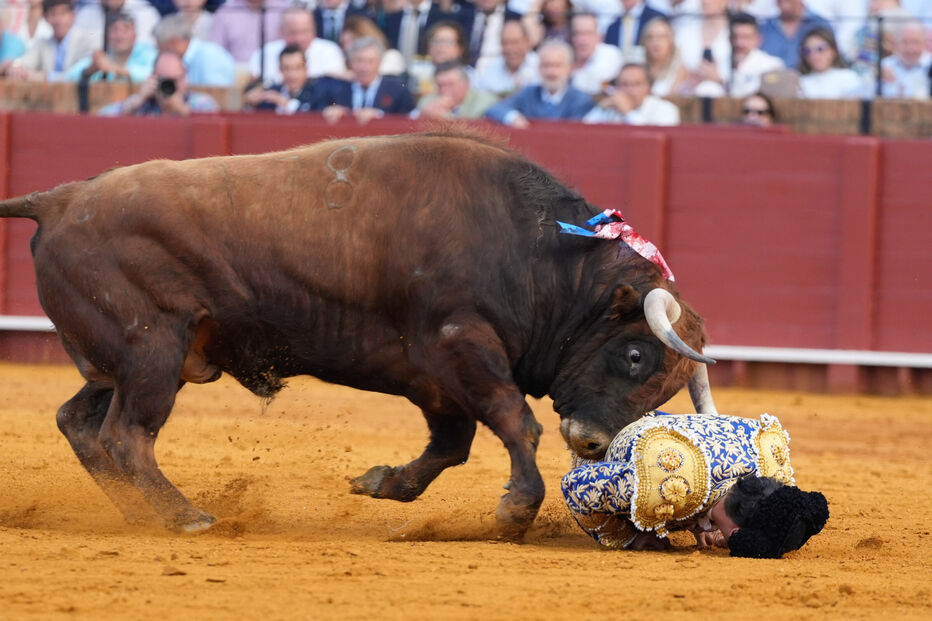 Morante de La Puebla, toureiro espanhol, sofre lesão retal durante tourada em Sevilha