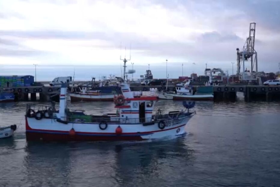 Pescadores navegam num 'mar de incertezas': Profissionais consideram que setor em Portugal está 'condenado'