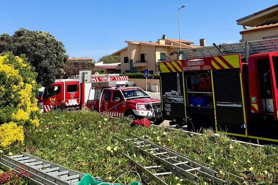 Bombeiros resgatam cão de poço com 25 metros de profundidade em Leça da Palmeira