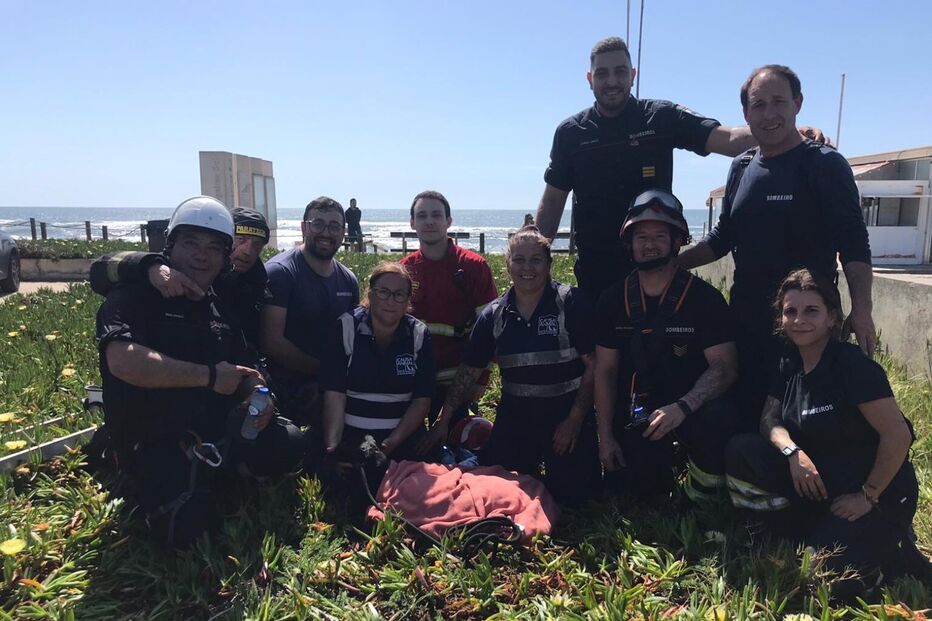 Bombeiros resgatam cão de poço com 25 metros de profundidade em Leça da Palmeira