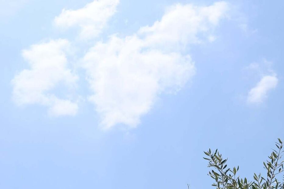 Júlia Palha celebra despedida de solteira com amigos e o futuro marido