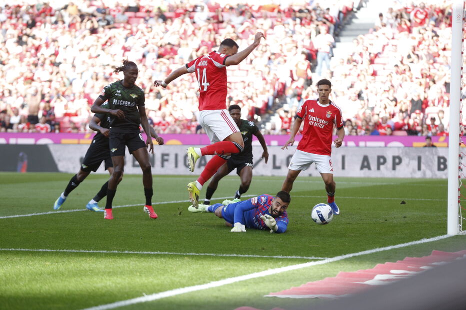 Benfica - Moreirense