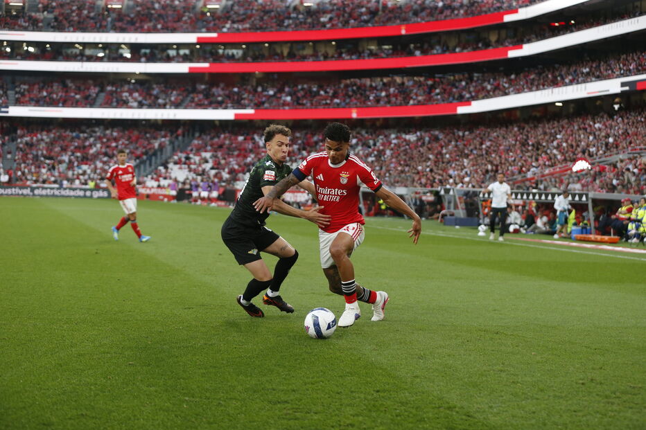 Benfica - Moreirense