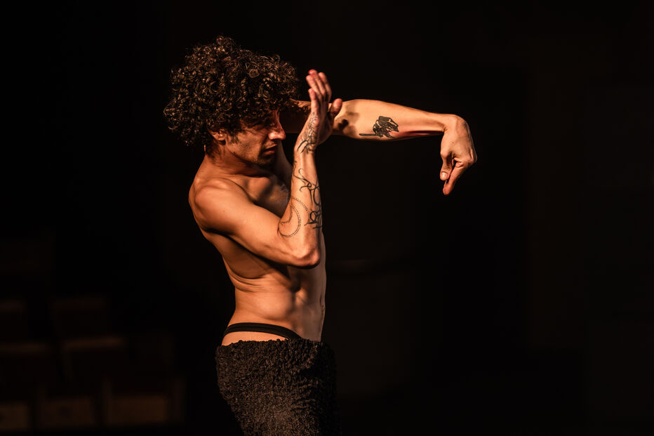 Mostra Transborda celebra a dança no Porto e, pela primeira vez, em Lisboa
