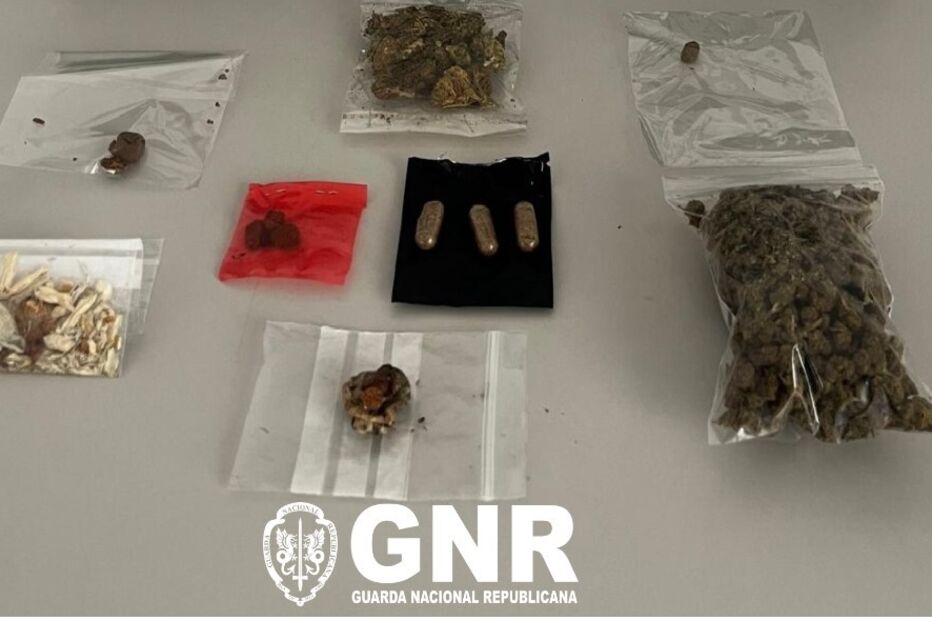 GNR apreende produtos suspeitos, incluindo cogumelos e cápsulas