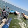 <![CDATA[ Cinco embarcações apreendidas no rio Tejo em operação contra apanha ilegal de amêijoa-japonesa ]]>