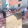<![CDATA[ Touro solta-se e fere pelo menos três pessoas na Azambuja ]]>