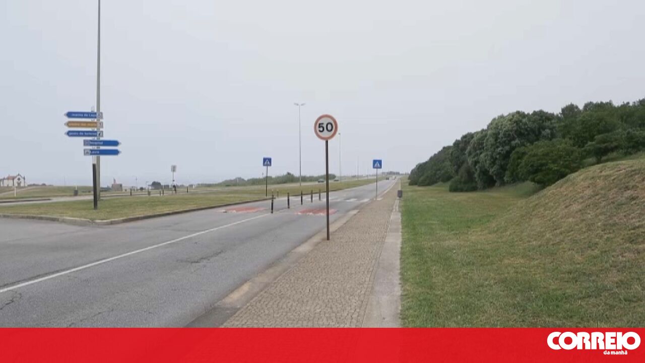 Tragic Fatal Accident: Man And Dog Killed By Driver In Leça Da Palmeira - News Directory 3