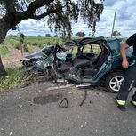 Dois mortos e dois feridos graves em despiste na EN387 no concelho de Ferreira do Alentejo