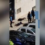 PSP reteve os dois irmãos envolvidos nas agressões