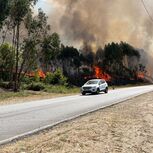Quatro meios aéreos e mais de 80 operacionais combatem incêndio em Alfena
