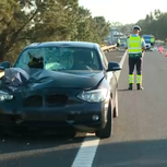 Carro despista-se e mata homem que andava a pé na A8 nas Caldas da Rainha