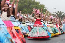 Milhares de pessoas assistem ao cortejo da Festa da Flor na Madeira apesar da chuva