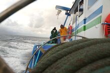 Pesca da sardinha reabre sem peixe na Figueira da Foz: Foi assim a noite da primeira safra do ano