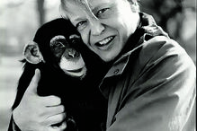 David Attenborough celebra um século de dedicação à vida selvagem.

