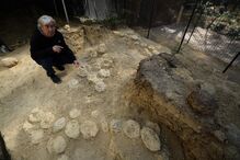 Ovos de dinossauros  com mais de 72 milhões de anos descobertos por  Alain Cabot,