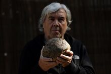 Ovos de dinossauros  com mais de 72 milhões de anos descobertos por  Alain Cabot,