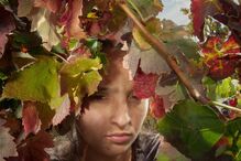 O filme de Marta Mateus, 