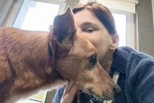 Rita Salema acompanha recuperação de Baguette, cão adotado, após internamento.
