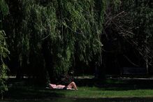 Homem a tomar banhos de sol no parque Titan em Bucareste, Roménia