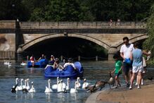 Pessoas divertem-se em gaivotas no Hyde Park, em Londres, Reino Unido 