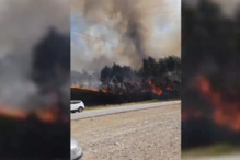 Incêndio em Alfena dominado. Foram acionados cinco meios aéreos e mais de 150 operacionais