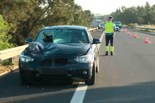 Carro despista-se e mata homem que andava a pé na A8 nas Caldas da Rainha