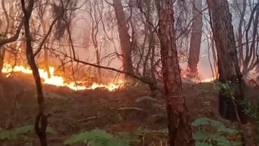Moradores retirados de casa devido aos incêndios florestais em Itália