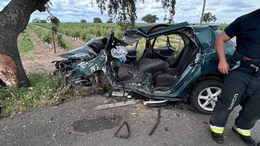 Dois mortos e dois feridos graves em despiste na EN387 no concelho de Ferreira do Alentejo