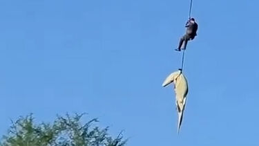 Polícia e crocodilo içados de helicóptero durante operação para recuperar restos mortais de empresário na África do Sul 