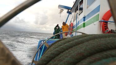 Pesca da sardinha reabre sem peixe na Figueira da Foz: Foi assim a noite da primeira safra do ano