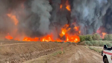 Incêndio florestal no Arizona consome quase 400 hectares 