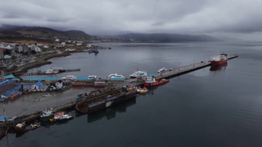 Autoridades de saúde argentinas descartam Ushuaia como origem do surto de hantavírus em cruzeiro