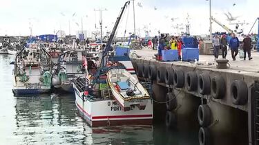 “Está a começar muito mal”: Pescador sobre o segundo dia da reabertura da pesca da sardinha