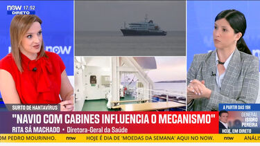 Diretora-Geral da Saúde garante que Covid-19 e hantavírus 