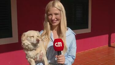 Conheça o projeto "Patas à Roda" 