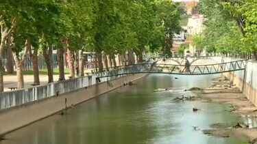 Homem com cerca de 40 anos detido por se exibir de forma lasciva nas ruas do centro de Leiria