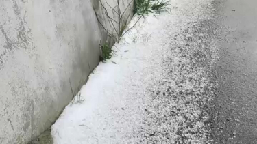 Queda de granizo provoca estragos na agricultura em Mogadouro