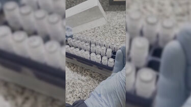 Cientistas trabalham em vacina após surto de hantavírus em cruzeiro