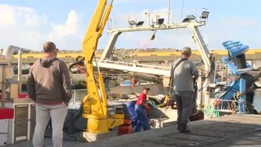 Pesca da sardinha reabriu sem peixe em Sines 