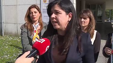 “Falhámos a estes animais”, diz Inês de Sousa Real sobre a falta de legislação para proteger os animais de companhia