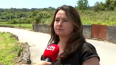 “É inédito”: Mulher que resgatou canguru bebé que fugiu em Viana do Castelo conta o que aconteceu