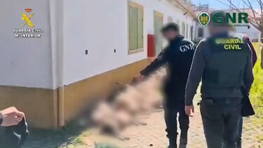 Três detidos em operação da GNR e Guardia Civil em Espanha por roubo de gado para Portugal