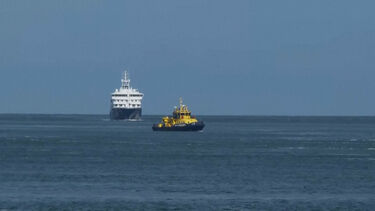 Navio cruzeiro atingido por surto de hantavírus chega ao porto de Roterdão para desinfeção 