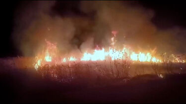 Colonos israelitas incendeiam terrenos agrícolas na Cisjordânia