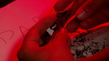 Folha com droga K4 pode render entre os dois a quatro mil euros
