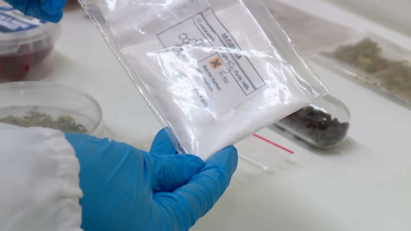 Detetar droga K4  só é possível em laboratório quando e se apreendidas nas cadeias