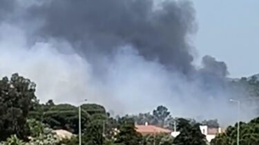 Incêndio ameaça habitações em Faro. Fogo já consumiu carros