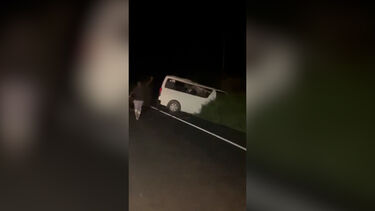  
Carrinha embate contra elefante perto de parque nacional e faz três mortos no Uganda 
